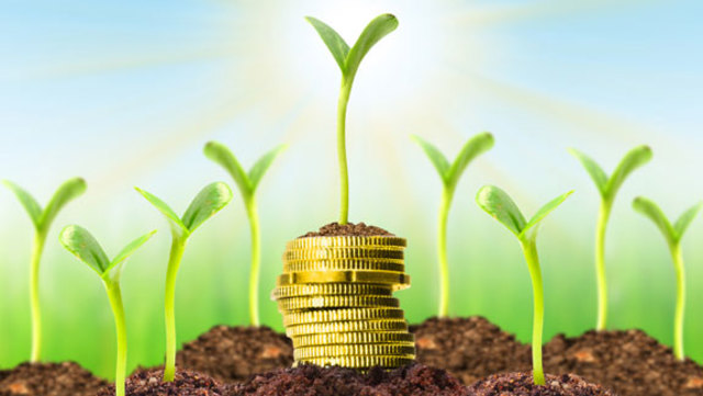 ECONOMÍAS EN DESARROLLO