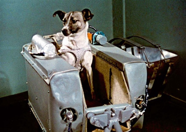 1957-First animal launched into orbit, dog named Laika launched by USSR and did not return alive