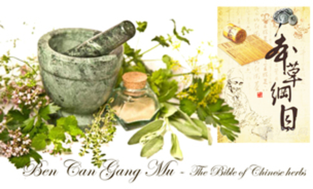 Primitive Time - Medicine