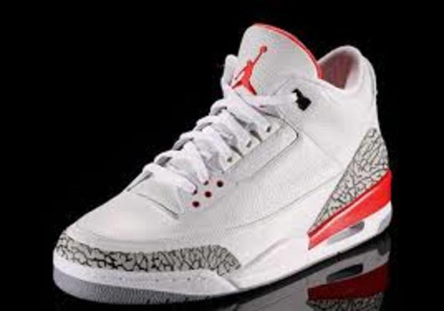 Elephants love the Jordan 3