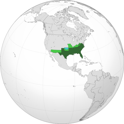 Secession of Southern States