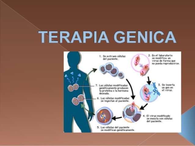 Éxito de la terapia genética