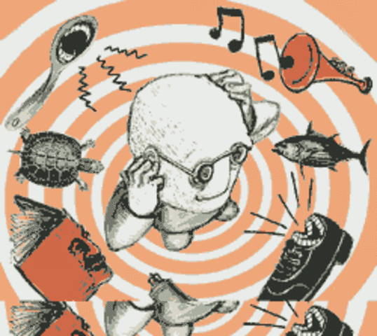 POPPER Y EL  FALSACIONISMO