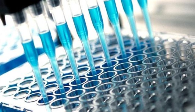 Development of ELISA test to screen for diseases