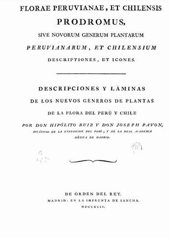 Publicación de "Florae Peruvianae, Et Chilensis Prodromus, sive Novorum generum plantarum peruvianarum, et chilensium descriptiones , et icones"