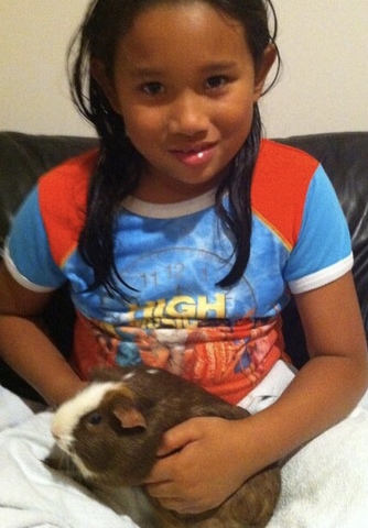 The First Pet that I Owned