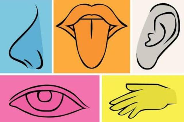 A treatise of human nature