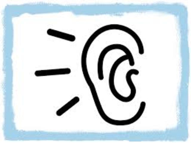 A las 6 semanas de nacido