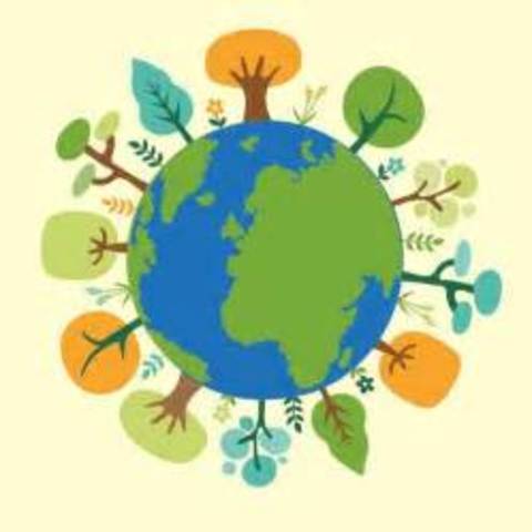 CONFERENCIA DE LAS NACIONES UNIDAS DEL MEDIO AMBIENTE