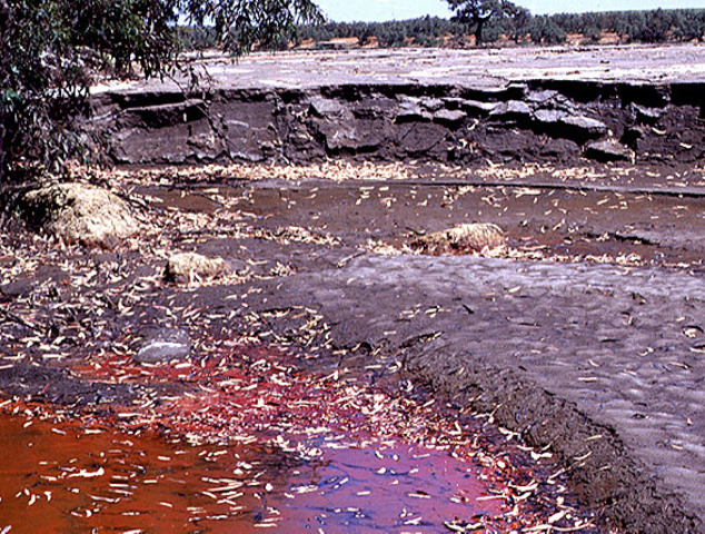 Desastre de Aznalcóllar