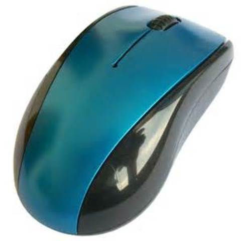 computer mouse