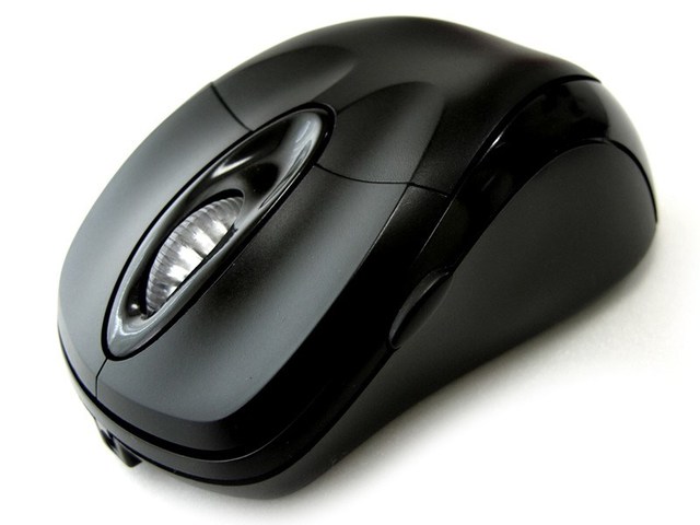 computer mouse
