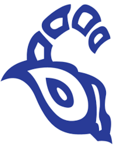 Ser nombrado jugador destacado del equipo de americano