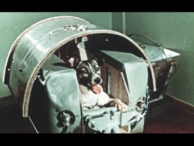 First animal launched into orbit, dog named Laika