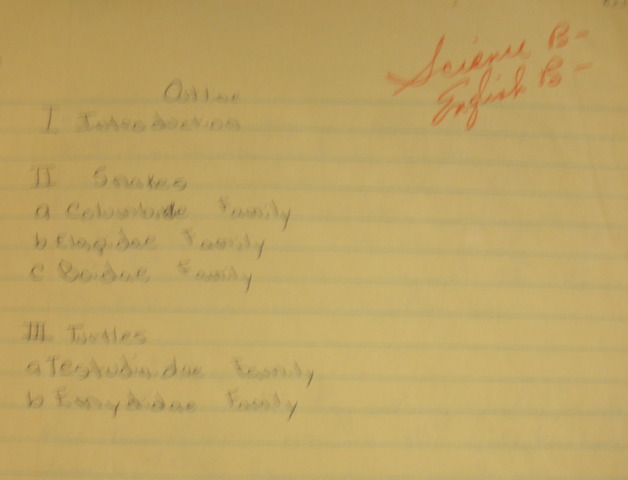 What did I do wrong? What did I do right?