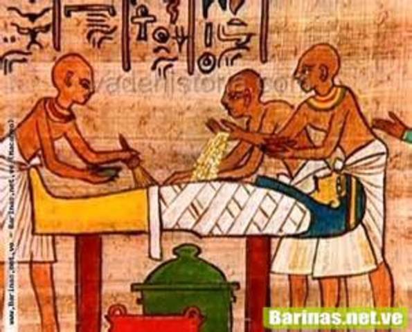 Los mejores anatomistas de la antiguedad