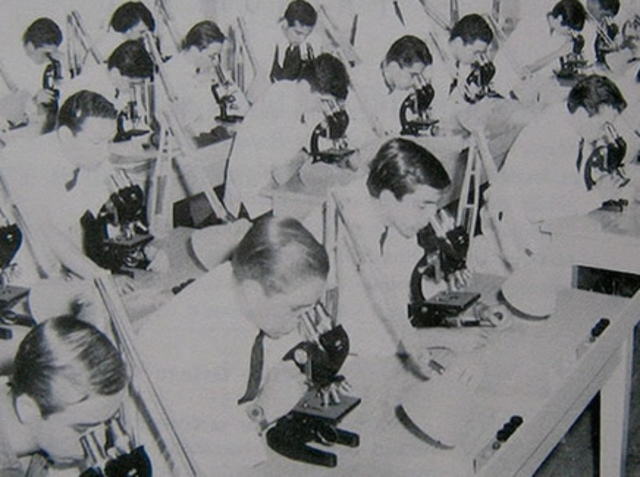 Nuevo Decano en la Facultad de Medicina