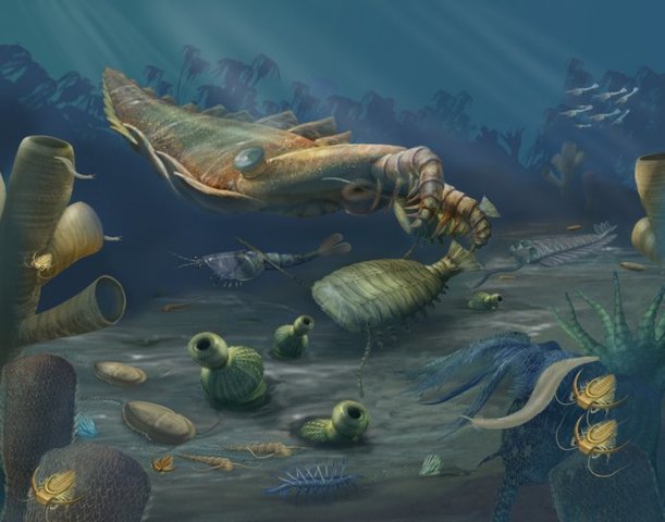 Cambrian 540-490 MYA