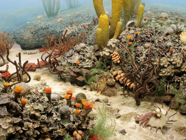 Periam Period 251 MYA