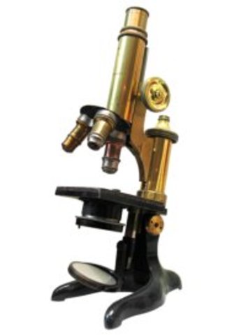 Invention of the microscope allowed physicians to see disease-causing organisms