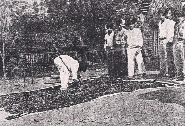 La propiedad territorial