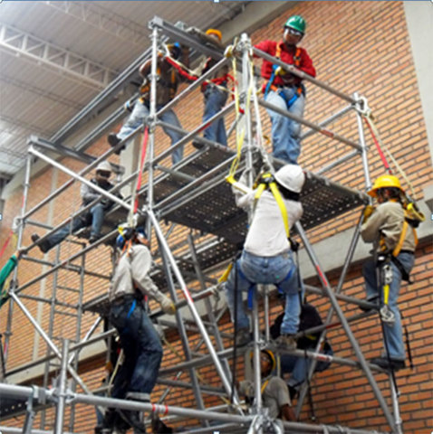 RESOLUCIÓN 1409 de 2012