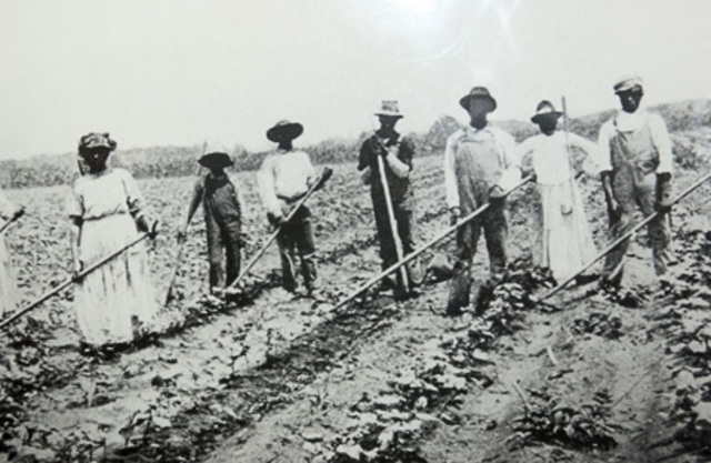 Sharecropping/ Tenant Farming