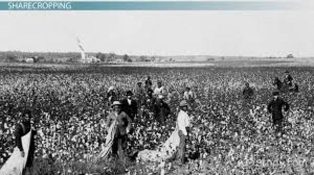Sharecropping/ Tenant Farming