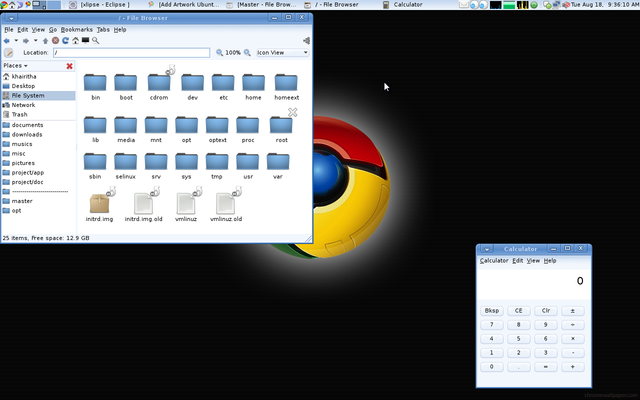 Google's own desktop operating system Chrome OS