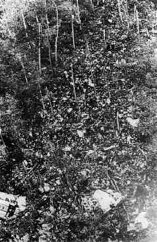 Bois d' Ermenonville, Francia