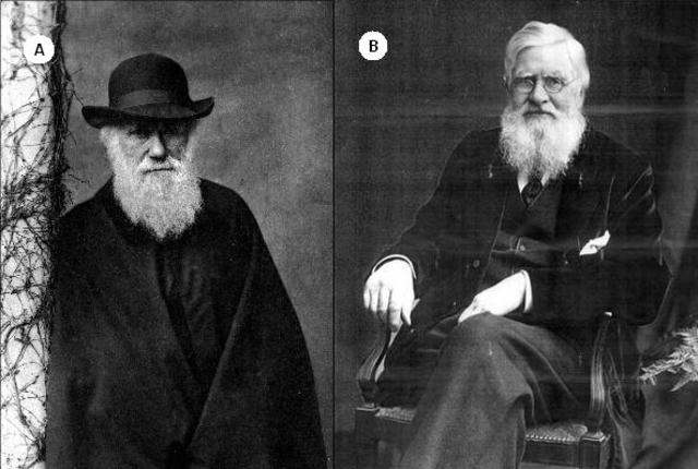 Hipótesis de Darwin