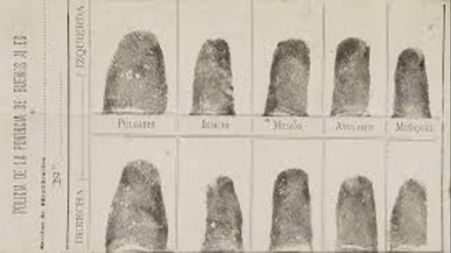 Fingerprints Identified as "Unique"