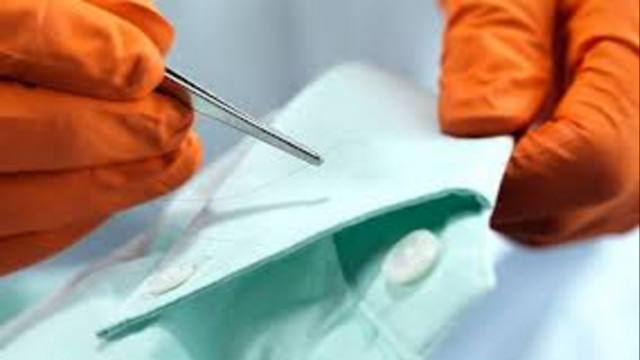 Hair Now Used in Forensics