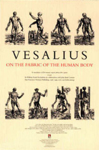 Andreas Vesalius