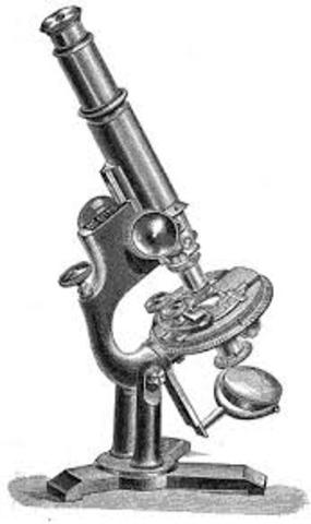 Invention of the Microscope