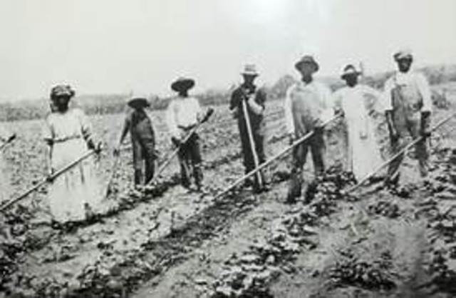 Sharecropping/Tenant Farming
