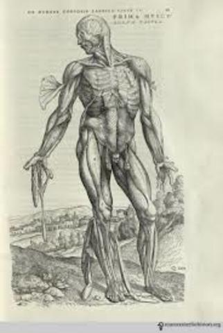 Andreas Vesalius