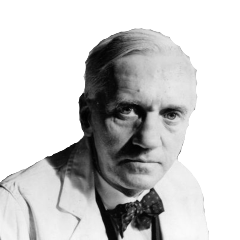 Descubrimiento de la Penicilina