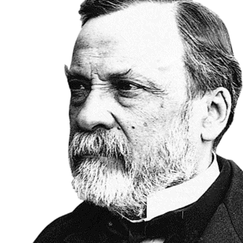 Louis Pasteur