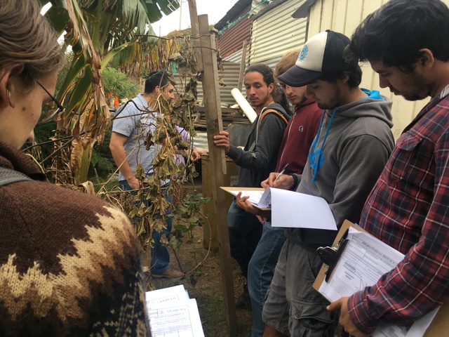 CERRPED Peña de Oro