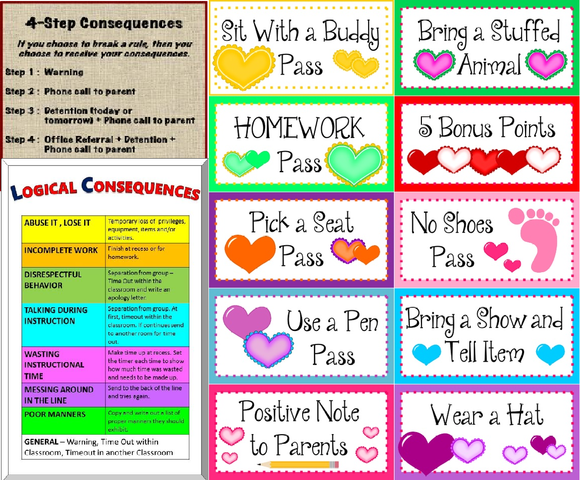 Day 4- Co-Created Consequences and Incentives