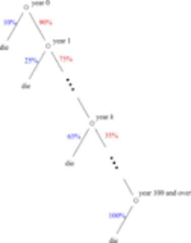 Middle Ages - Lifespan