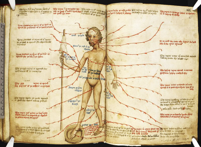 16th and 17th century