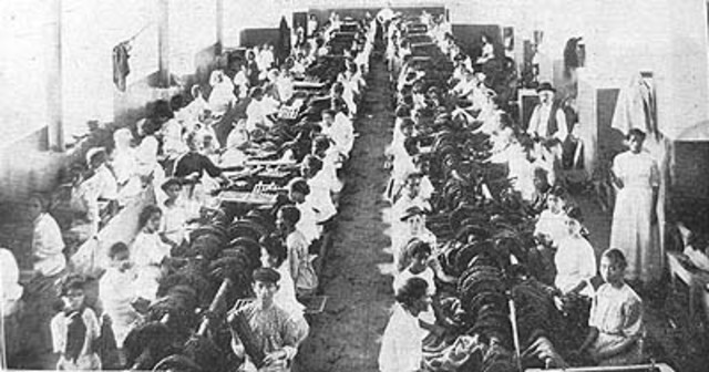 fomento al cultivo del cacao y de diversificación de su producción