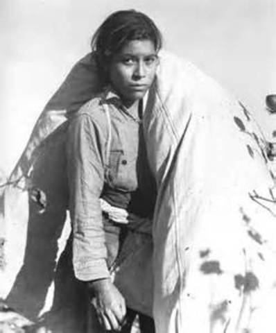 Francisco trata de ayudar a su familia a escoger algodón para demostrar que puede manejar su propia bolsa de algodón, pero fracasa.