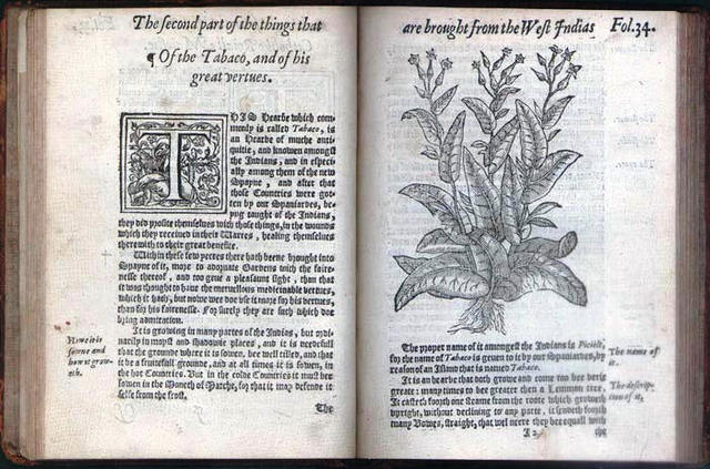 ELLENBOG y MONARDES NICOLÁS Siglo (14 D.C)