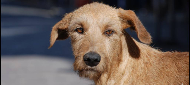 creacion de la pagina y publicacion en las redes sociales