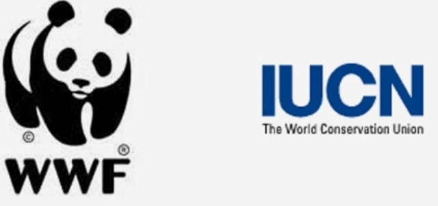 Union internacional.