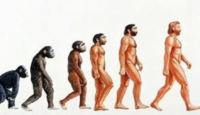 La Teoría de la Evolución Biológica