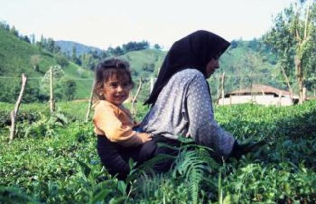 Women and Men (Power)